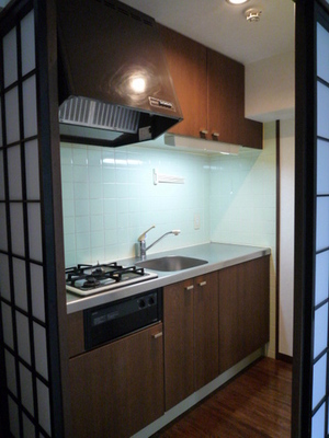 Kitchen. System kitchen