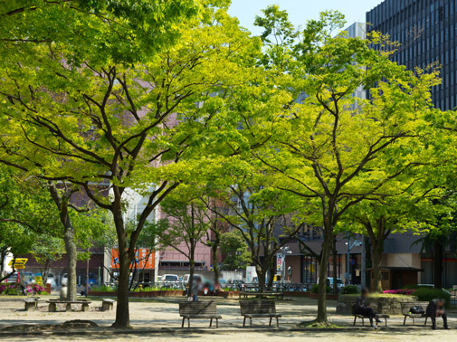 Surrounding environment. Can the town park (a 1-minute walk / About 10m)