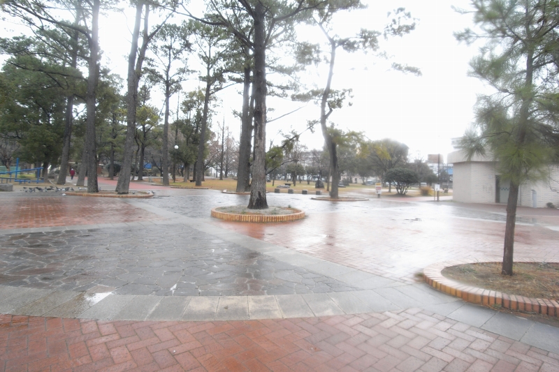 park. Sanno 1219m to the park (park)