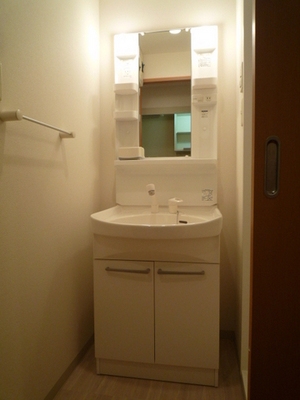 Washroom. Wash basin