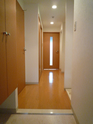 Entrance. Entrance hall