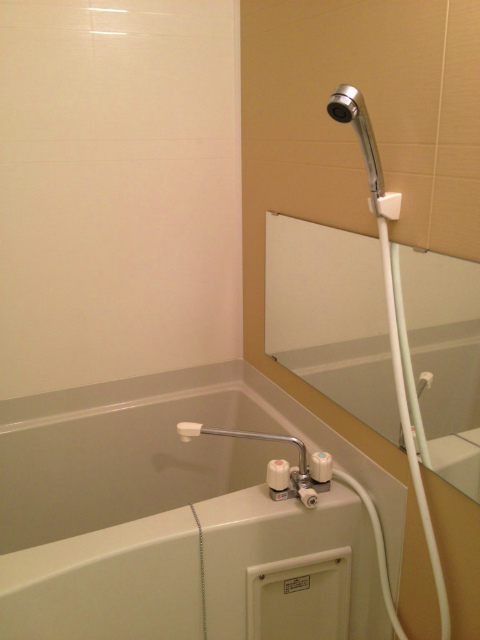 Bath. Fashionable shampoo head