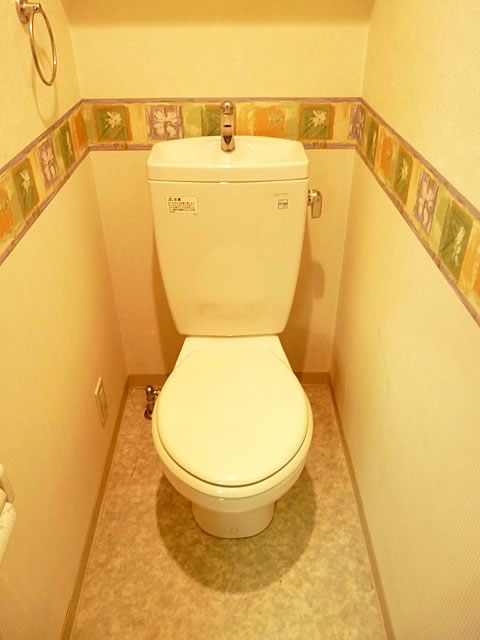 Toilet