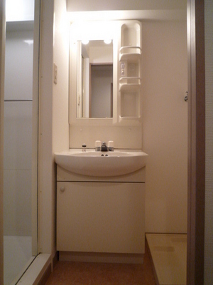 Washroom. Wash basin