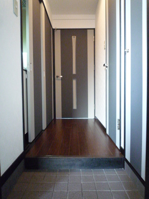 Entrance. Entrance hall