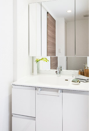 Bathing-wash room. bathroom