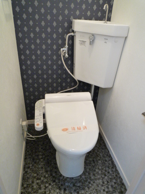 Toilet. With Washlet