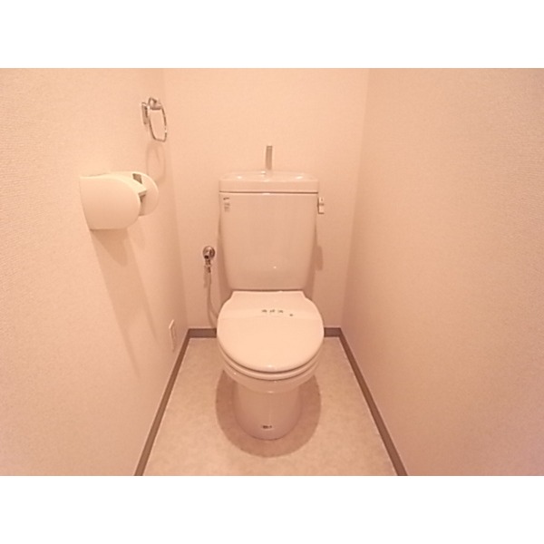 Toilet.  ※ It is a photograph of another room