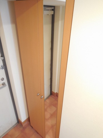 Entrance. Full-length mirror on the front door, Final check before going out