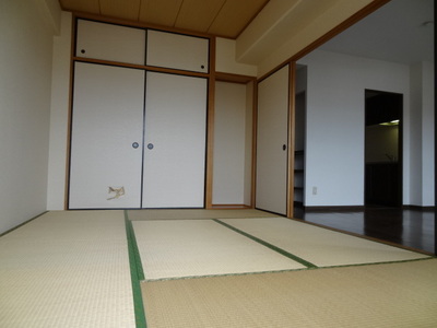 Living and room. Interior