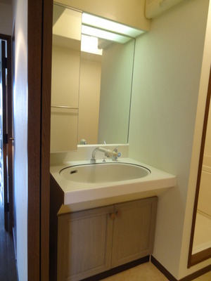 Washroom. Shampoo dresser