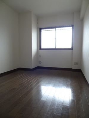 Living and room. Interior