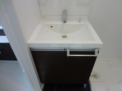 Washroom. Wash basin