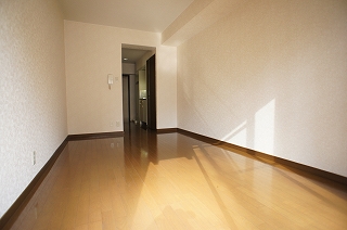 Living and room. Spacious living room ☆