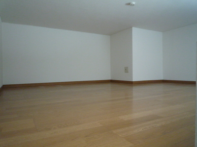 Living and room. loft