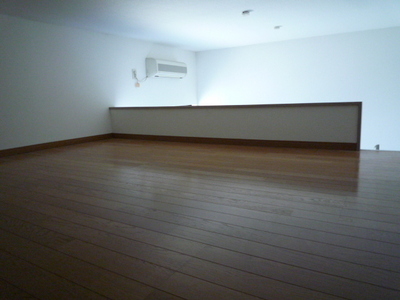 Living and room. loft