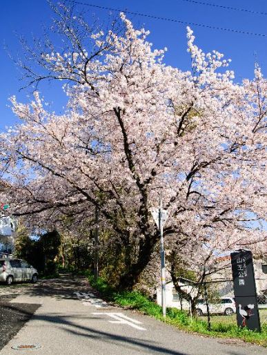 park. Sanno 480m to the park (park)