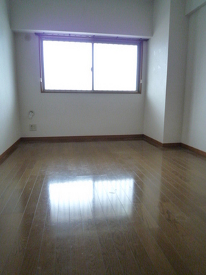 Living and room. Western style room