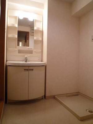 Washroom. Wash basin