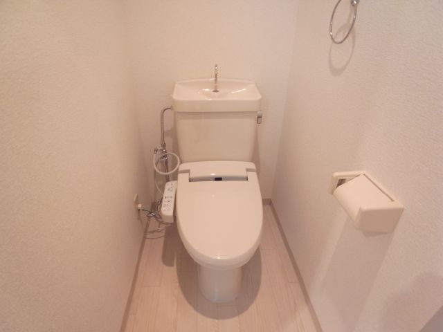 Toilet. Toilet