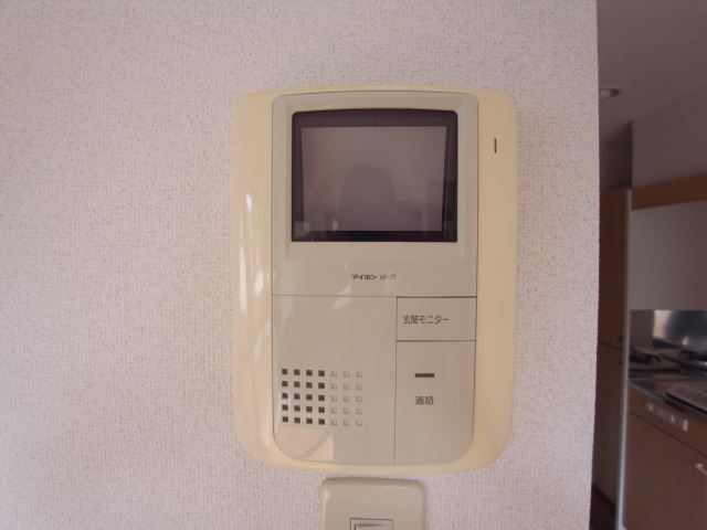 Security. Monitor with intercom