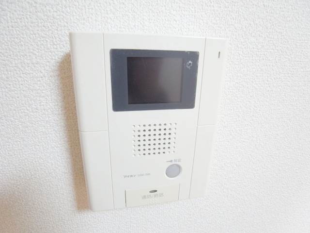 Security. TV monitor phone