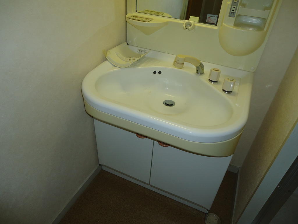 Washroom. Shampoo dresser equipped