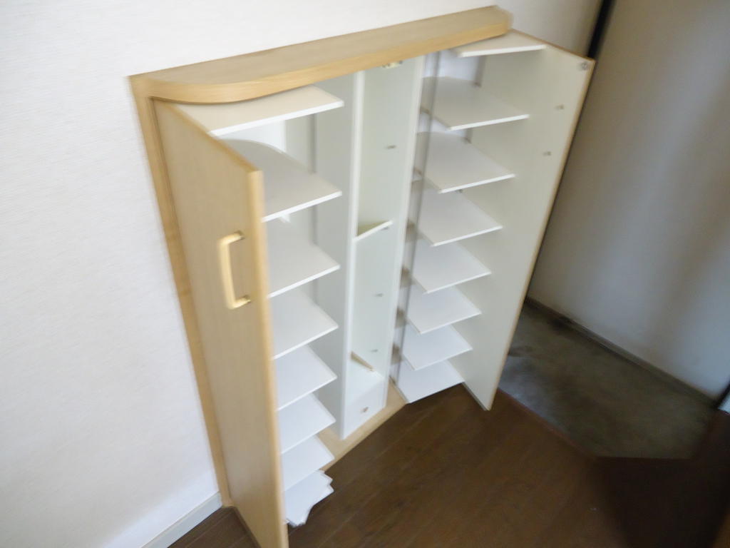 Other. Shoes will go a lot