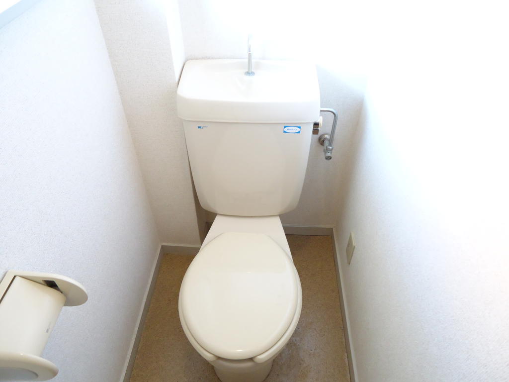 Toilet. It will be or was this space to calm down