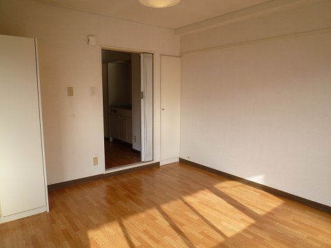 Other room space. Western style room