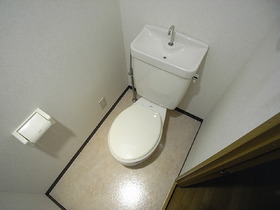 Toilet. Western-style toilet.