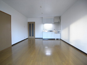 Living and room. Spacious living room. The location of the gatherings.