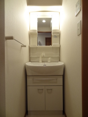 Washroom. Wash basin