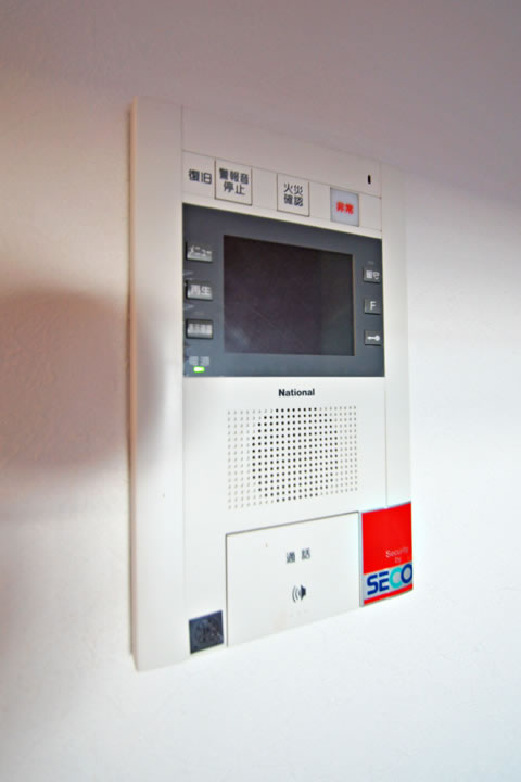 Security. TV monitor phone