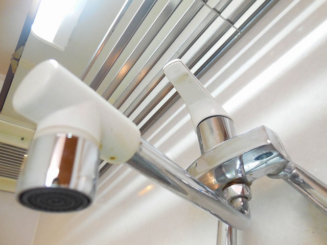 Kitchen. The kitchen is a single lever