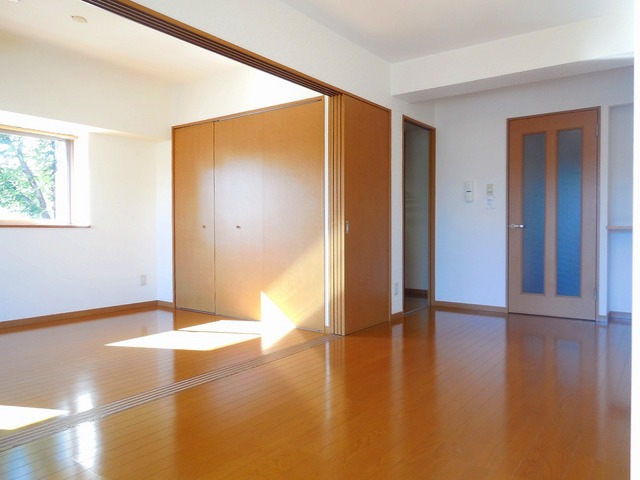 Living and room. Facing south Day is good