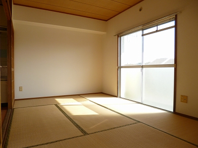 Living and room. Living