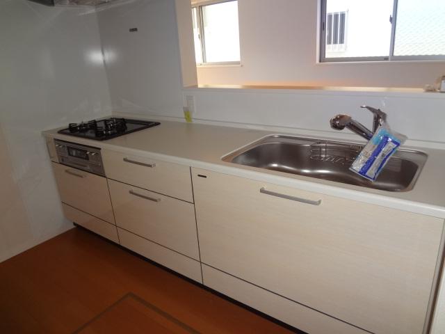 Kitchen. Indoor (12 May 2013) Shooting