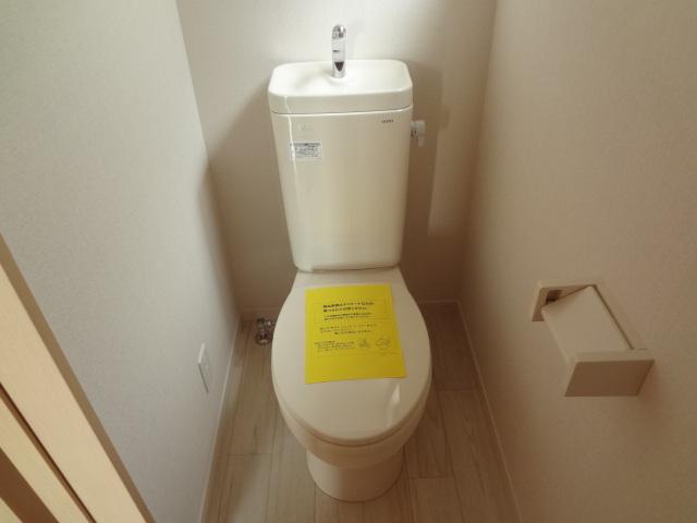 Toilet. The second floor toilet. It is something useful.