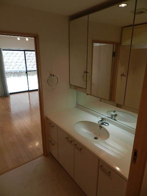 Washroom. Big is vanity.