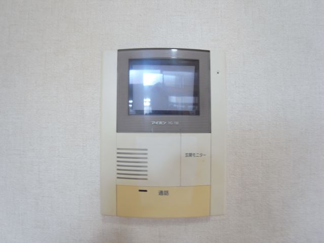 Security. Monitor with intercom