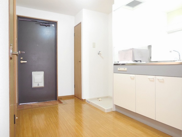 Entrance. Kitchen space is wide