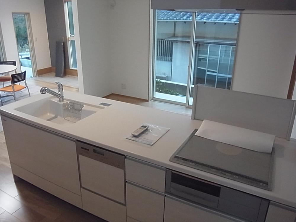 Kitchen. Indoor (11 May 2013) Shooting