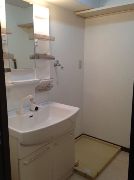 Washroom. Bathroom vanity