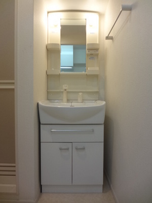 Washroom. Wash basin