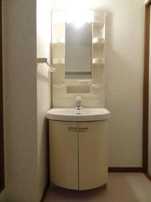 Washroom. Wash basin