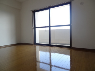 Living and room. Interior