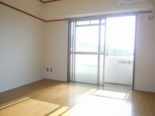 Living and room. Bright flooring