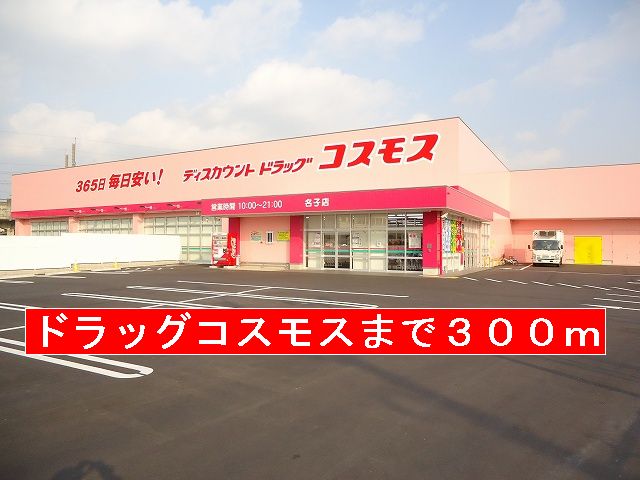 Dorakkusutoa. Drag 300m until the cosmos (drugstore)