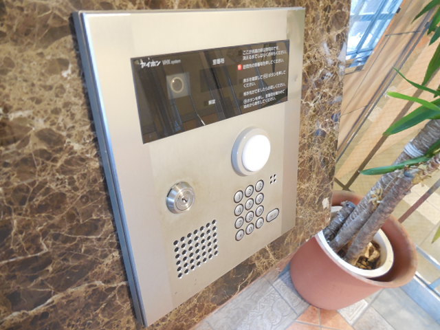 Other. It comes with auto-lock